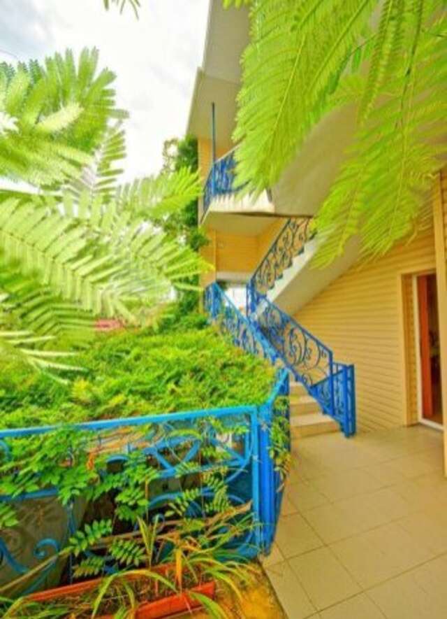 Гостиница Beliy Vikhr Guest House Сочи-15